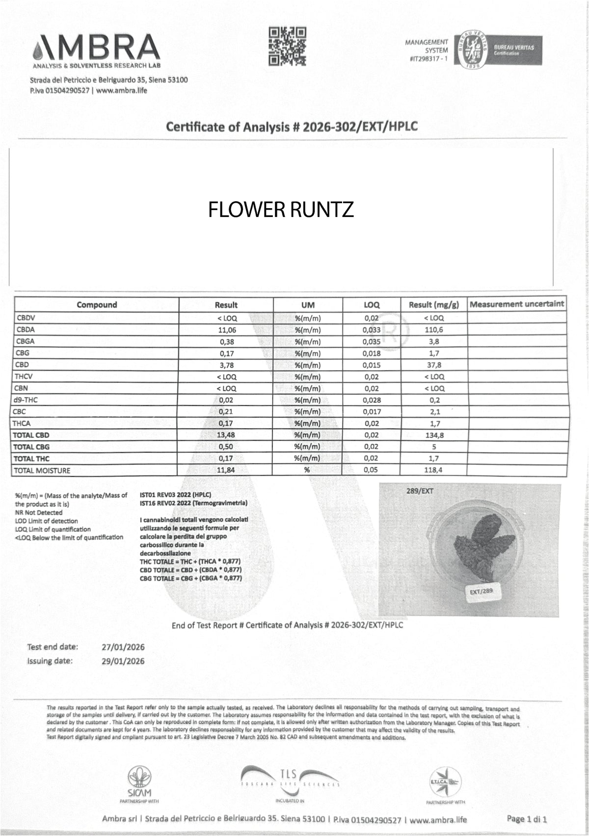Fleur CBC Runtz
