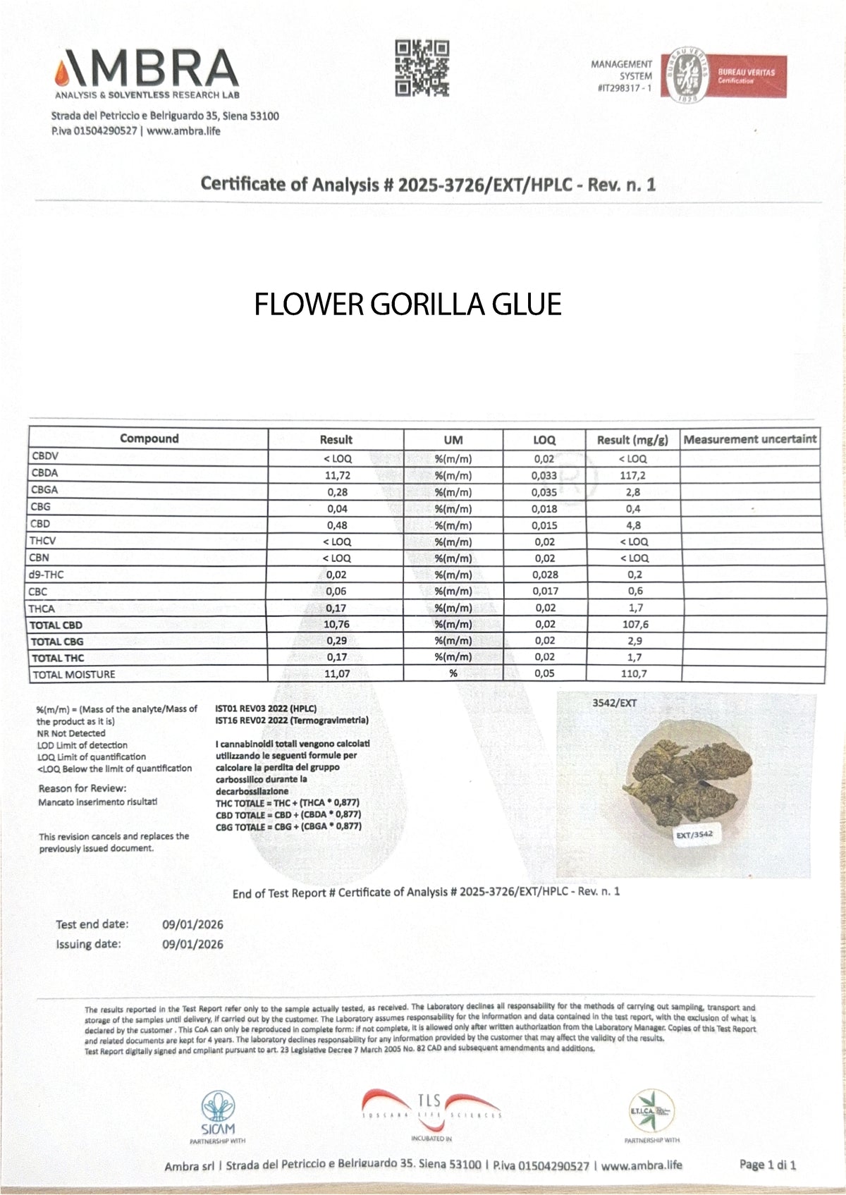 Fleur CBC Gorilla Glue
